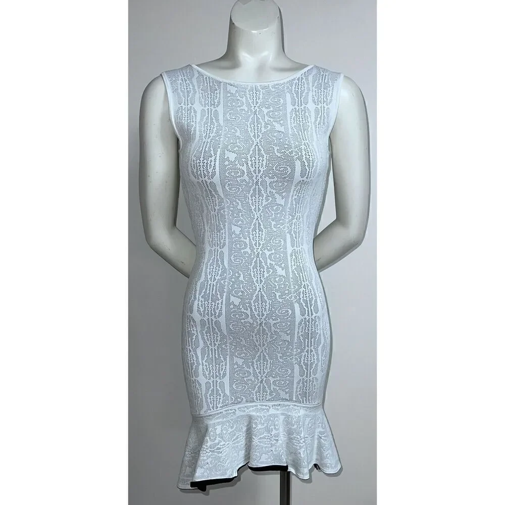 BCBG MAXAZRIA Faye Jacquard Dress ( Size XS) Self Contrast Lace Jacquard